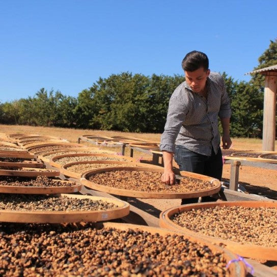 Growing Relationship Coffee